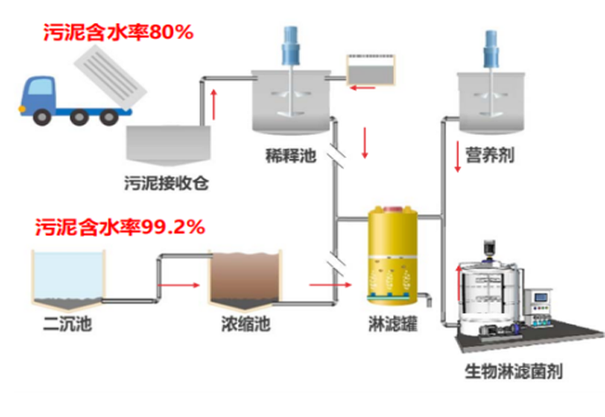 CA88(�й�)Ψһ�ٷ���վ���